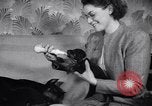Standbild Dobermann Pinscher Vancouver British Columbia Kanada, 1947, aus Sekunde 41 historischem Filmmaterial Videoclip 65675041344