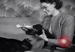 Standbild Dobermann Pinscher Vancouver British Columbia Kanada, 1947, aus Sekunde 42 historischem Filmmaterial Videoclip 65675041344