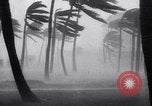 Image of Hurricane Jamaica, 1951, second 19 stock footage video 65675041347
