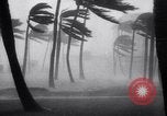 Image of Hurricane Jamaica, 1951, second 20 stock footage video 65675041347