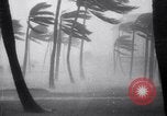 Image of Hurricane Jamaica, 1951, second 21 stock footage video 65675041347