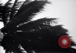 Image of Hurricane Jamaica, 1951, second 22 stock footage video 65675041347