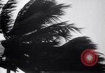 Image of Hurricane Jamaica, 1951, second 23 stock footage video 65675041347