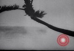 Image of Hurricane Jamaica, 1951, second 39 stock footage video 65675041347