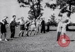 Standbild australischen bull-Peitsche Australien, 1951, aus Sekunde 9 historischem Filmmaterial Videoclip 65675041352