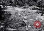 Immagine di Gara in kayak Fiume Vezere Francia, 1953, secondo 14 filmato di repertorio 65675041360