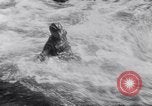 Immagine di Gara in kayak Fiume Vezere Francia, 1953, secondo 56 filmato di repertorio 65675041360