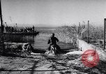 Immagine di Motociclo anfibio Spagna, 1955, secondo 12 filmato di repertorio 65675041367