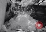 Image of Chinook Pass Washington State United States USA, 1956, second 31 stock footage video 65675041374