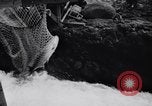 Standbild Celilo fällt Oregon United States USA, 1956, aus Sekunde 46 historischem Filmmaterial Videoclip 65675041382