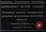 Standbild trainierten Schimpansen Fredericksburg Virginia USA, 1929, aus Sekunde 5 historischem Filmmaterial Videoclip 65675041385