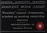 Standbild trainierten Schimpansen Fredericksburg Virginia USA, 1929, aus Sekunde 6 historischem Filmmaterial Videoclip 65675041385