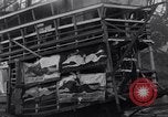 Image of William Greenwood Olympia Washington USA, 1929, second 23 stock footage video 65675041388