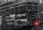 Image of William Greenwood Olympia Washington USA, 1929, second 25 stock footage video 65675041388
