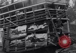 Image of William Greenwood Olympia Washington USA, 1929, second 26 stock footage video 65675041388