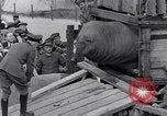 Immagine di Guarnizione di tenuta Francia, 1930, secondo 8 filmato di repertorio 65675041394