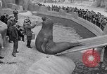 Immagine di Guarnizione di tenuta Francia, 1930, secondo 21 filmato di repertorio 65675041394