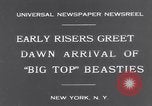 Standbild Circus New York City USA, 1931, aus Sekunde 4 historischem Filmmaterial Videoclip 65675041396