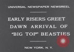 Standbild Circus New York City USA, 1931, aus Sekunde 6 historischem Filmmaterial Videoclip 65675041396