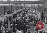 Standbild Circus New York City USA, 1931, aus Sekunde 13 historischem Filmmaterial Videoclip 65675041396