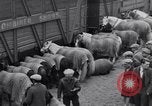 Standbild Circus New York City USA, 1931, aus Sekunde 18 historischem Filmmaterial Videoclip 65675041396