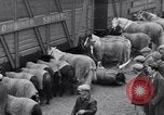 Standbild Circus New York City USA, 1931, aus Sekunde 19 historischem Filmmaterial Videoclip 65675041396