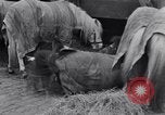 Standbild Circus New York City USA, 1931, aus Sekunde 21 historischem Filmmaterial Videoclip 65675041396