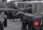 Standbild Circus New York City USA, 1931, aus Sekunde 26 historischem Filmmaterial Videoclip 65675041396