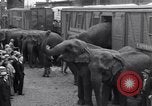Standbild Circus New York City USA, 1931, aus Sekunde 27 historischem Filmmaterial Videoclip 65675041396
