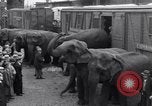 Standbild Circus New York City USA, 1931, aus Sekunde 29 historischem Filmmaterial Videoclip 65675041396