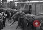 Standbild Circus New York City USA, 1931, aus Sekunde 30 historischem Filmmaterial Videoclip 65675041396