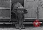 Standbild Circus New York City USA, 1931, aus Sekunde 31 historischem Filmmaterial Videoclip 65675041396
