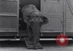 Standbild Circus New York City USA, 1931, aus Sekunde 32 historischem Filmmaterial Videoclip 65675041396