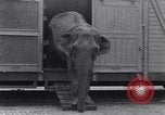 Standbild Circus New York City USA, 1931, aus Sekunde 33 historischem Filmmaterial Videoclip 65675041396