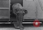Standbild Circus New York City USA, 1931, aus Sekunde 34 historischem Filmmaterial Videoclip 65675041396