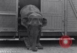 Standbild Circus New York City USA, 1931, aus Sekunde 35 historischem Filmmaterial Videoclip 65675041396