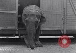 Standbild Circus New York City USA, 1931, aus Sekunde 36 historischem Filmmaterial Videoclip 65675041396