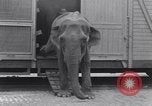 Standbild Circus New York City USA, 1931, aus Sekunde 37 historischem Filmmaterial Videoclip 65675041396