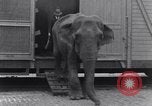 Standbild Circus New York City USA, 1931, aus Sekunde 38 historischem Filmmaterial Videoclip 65675041396