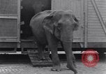 Standbild Circus New York City USA, 1931, aus Sekunde 39 historischem Filmmaterial Videoclip 65675041396