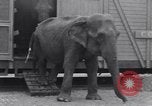 Standbild Circus New York City USA, 1931, aus Sekunde 40 historischem Filmmaterial Videoclip 65675041396