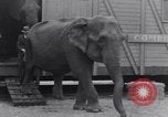 Standbild Circus New York City USA, 1931, aus Sekunde 41 historischem Filmmaterial Videoclip 65675041396