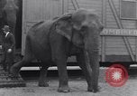 Standbild Circus New York City USA, 1931, aus Sekunde 42 historischem Filmmaterial Videoclip 65675041396