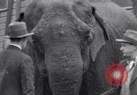 Standbild Circus New York City USA, 1931, aus Sekunde 44 historischem Filmmaterial Videoclip 65675041396