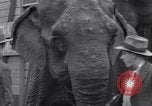 Standbild Circus New York City USA, 1931, aus Sekunde 45 historischem Filmmaterial Videoclip 65675041396