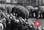 Standbild Circus New York City USA, 1931, aus Sekunde 54 historischem Filmmaterial Videoclip 65675041396