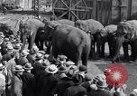 Standbild Circus New York City USA, 1931, aus Sekunde 55 historischem Filmmaterial Videoclip 65675041396