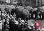 Standbild Circus New York City USA, 1931, aus Sekunde 56 historischem Filmmaterial Videoclip 65675041396