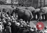 Standbild Circus New York City USA, 1931, aus Sekunde 57 historischem Filmmaterial Videoclip 65675041396