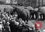 Standbild Circus New York City USA, 1931, aus Sekunde 58 historischem Filmmaterial Videoclip 65675041396